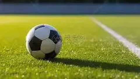 日职棒赛期或定于6月底启动，全明星赛遭取消